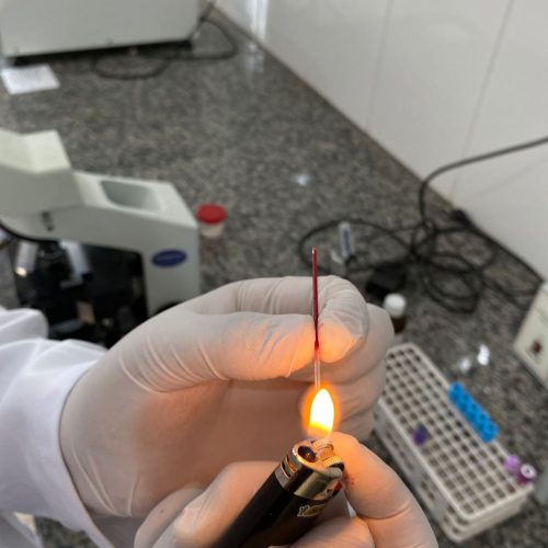 labhv18